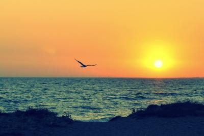 Прикрепленное изображение: _CSC6324-001.JPG